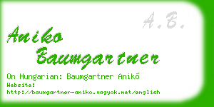 aniko baumgartner business card